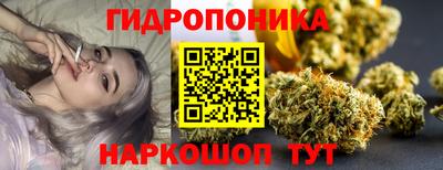 каннабис Новодвинск