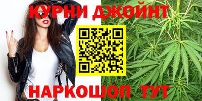 Альфа ПВП Новозыбков