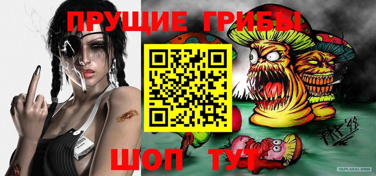 купить наркотик  Галлюциногенные грибы ЛСД  Вход с VPN  Сорочинск 