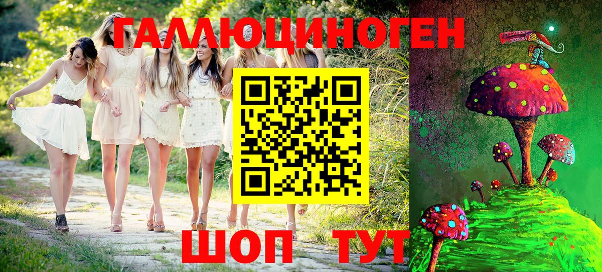 Галлюциногенные грибы Psilocybe Сорочинск
